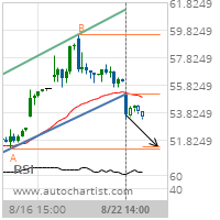 Lean Hogs Target Level: 51.3676