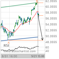 Lean Hogs Target Level: 48.9250